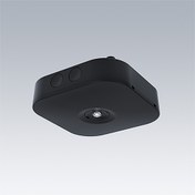 Voyager Star — VOYAGER STAR MSC ECP P BK